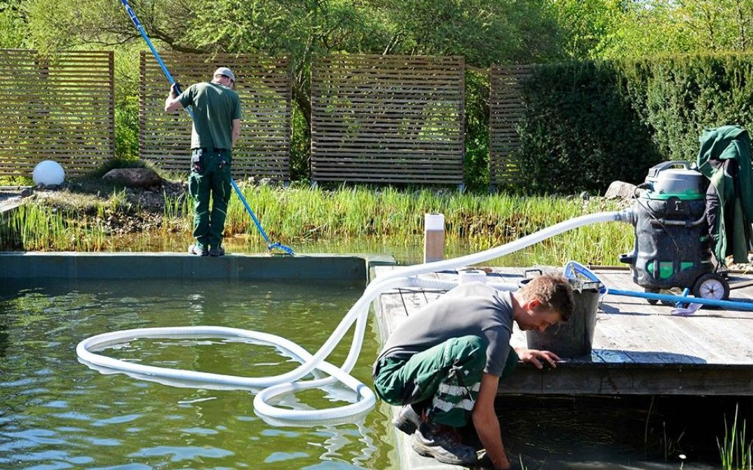 fruehjahrsservice-2021-4 fruehjahrsservice-2021-4